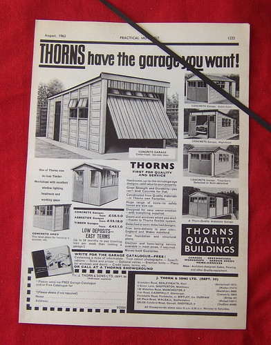 Thorns concrete timber - thorns,