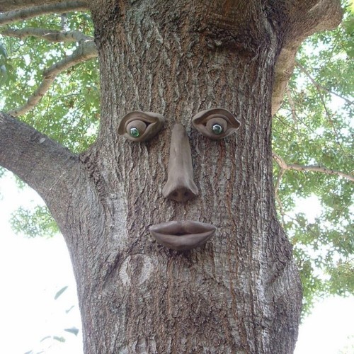Simon concrete tree - simon,